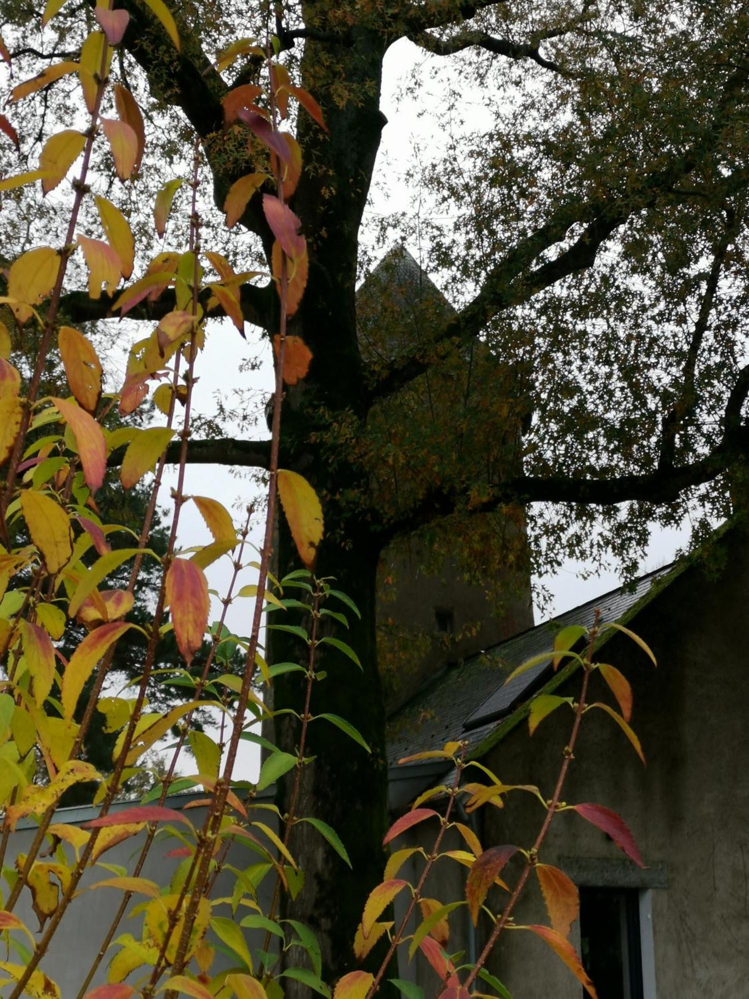 Le Moulin De La Retardiere Orvault Exterior photo